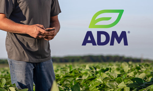 Man using phone in farm field